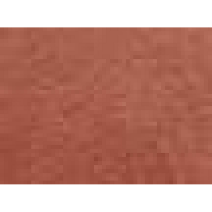 BELLA + CANVAS Triblend Tee