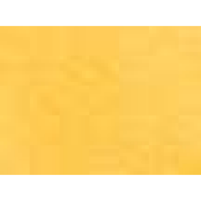 BELLA + CANVAS Triblend Tee -