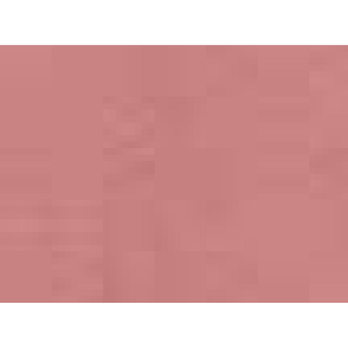 BELLA + CANVAS Triblend Tee -