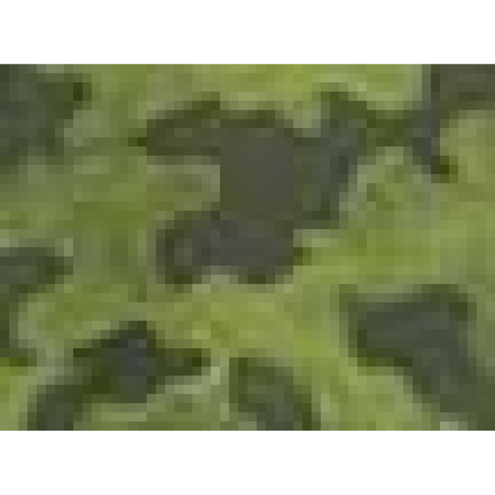 Adidas Hooded Full-Zip Windbreaker -