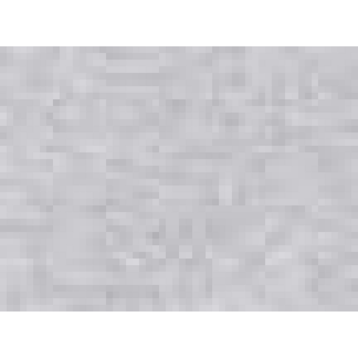 Champion Cotton Gym Shorts