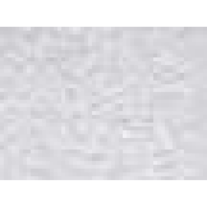 Women's Easy Blend Polo -