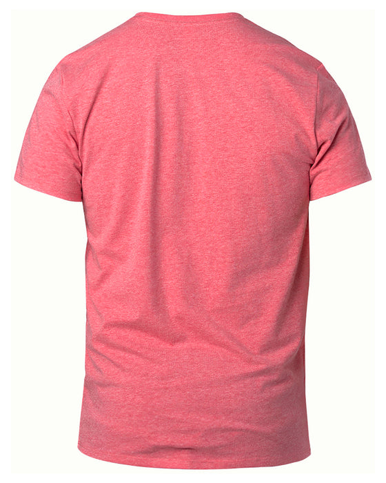 Rear and Blank view of the Threadfast Unisex Ultimate T-Shirt