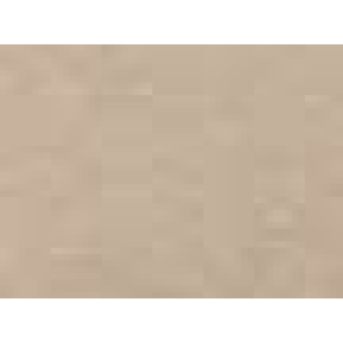 BELLA + CANVAS Triblend Tee -