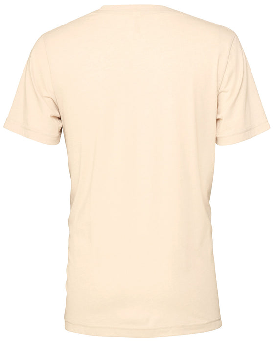 Rear and Blank view of the BELLA + CANVAS Unisex Heather CVC T-Shirt