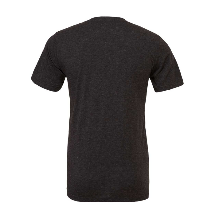 Rear view of the BELLA + CANVAS Triblend Tee -