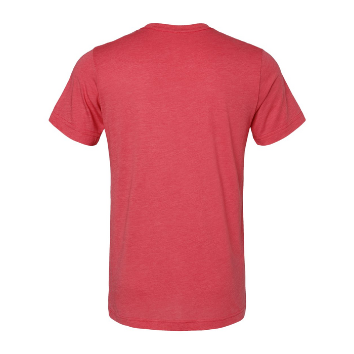 Rear view of the BELLA + CANVAS Triblend Tee -
