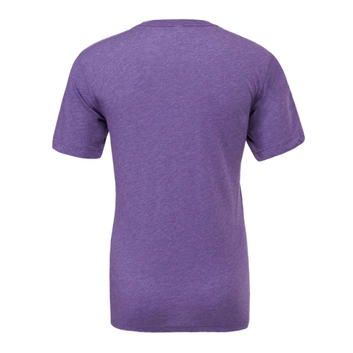 Rear view of the BELLA + CANVAS Triblend Tee -