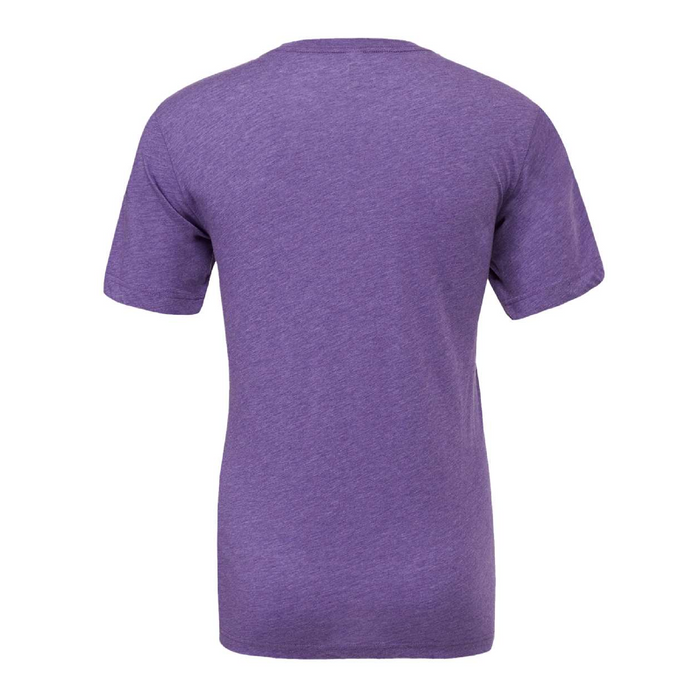 Rear view of the BELLA + CANVAS Triblend Tee -