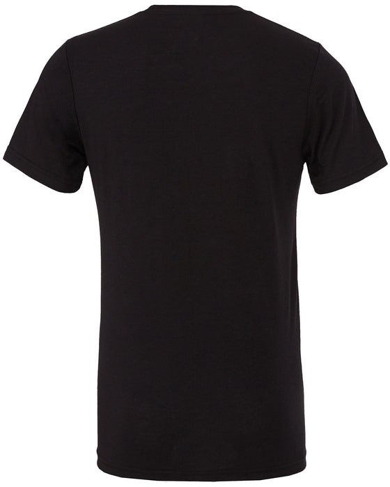 Rear and Blank view of the BELLA + CANVAS Unisex Triblend T-Shirt