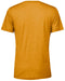 Rear and Blank view of the BELLA + CANVAS Unisex Triblend T-Shirt