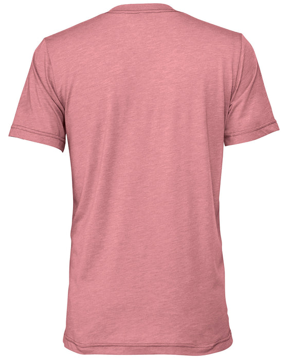 Rear and Blank view of the BELLA + CANVAS Unisex Triblend T-Shirt