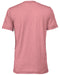 Rear and Blank view of the BELLA + CANVAS Unisex Triblend T-Shirt