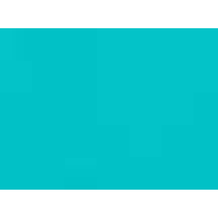 Next Level Women's Ideal V-Neck T-Shirt - 