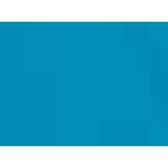 Next Level Women's Ideal V-Neck T-Shirt - 