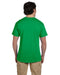 Rear view of the Fruit of the Loom Adult HD Cotton™ T-Shirt