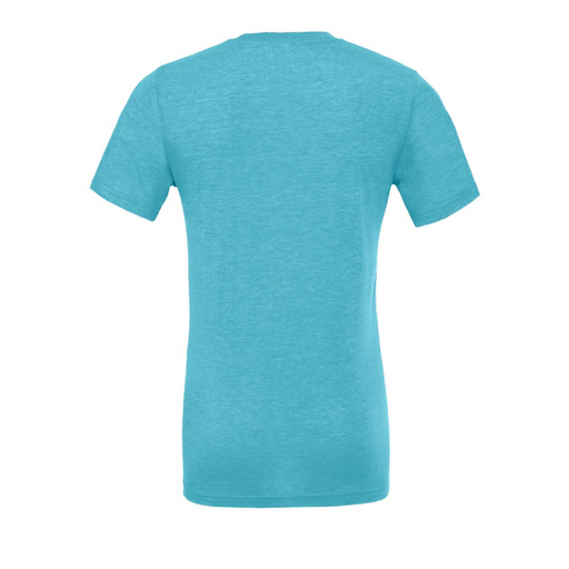 Rear view of the BELLA + CANVAS Triblend Tee -