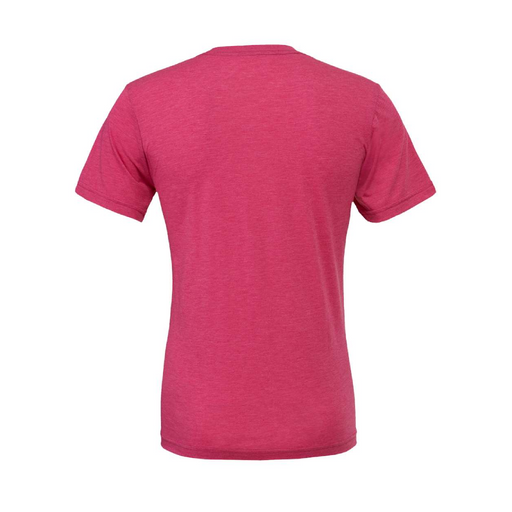 Rear view of the BELLA + CANVAS Triblend Tee -