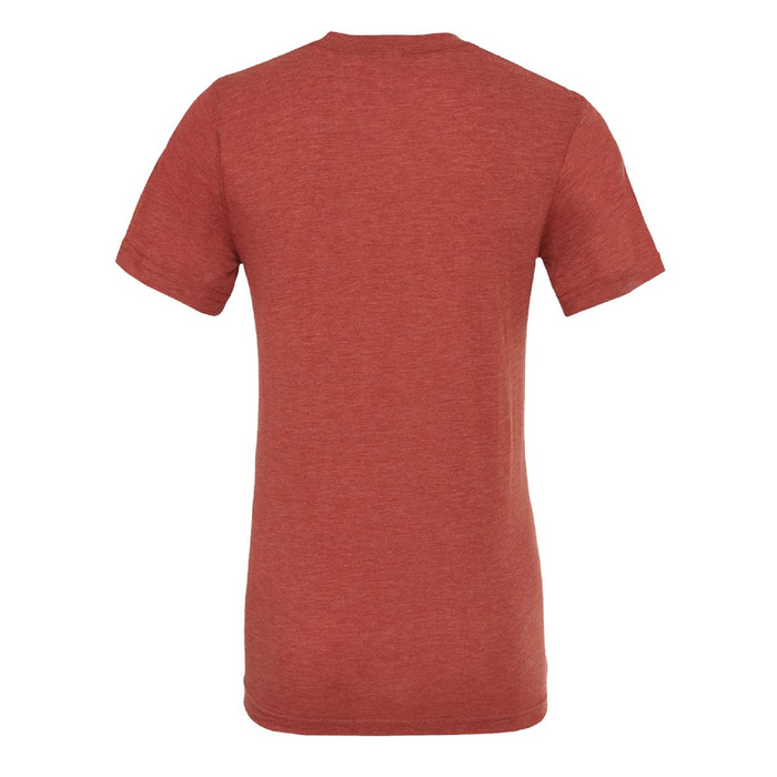 Rear view of the BELLA + CANVAS Triblend Tee -