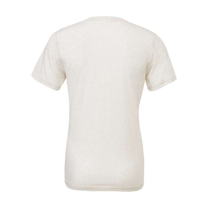 Rear view of the BELLA + CANVAS Triblend Tee -