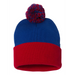 Rear view of the 12" Pom-Pom Cuffed Beanie - 