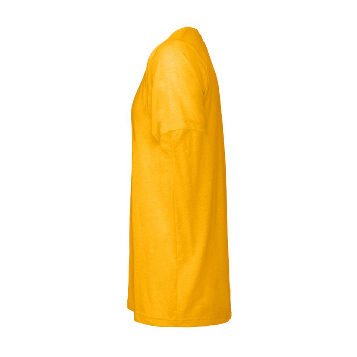 Left view of the BELLA + CANVAS Triblend Tee -