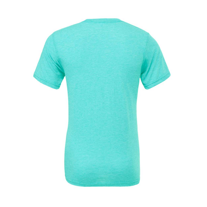Rear view of the BELLA + CANVAS Triblend Tee -