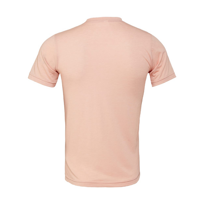 Rear view of the BELLA + CANVAS Triblend Tee -