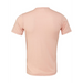Rear view of the BELLA + CANVAS Triblend Tee -