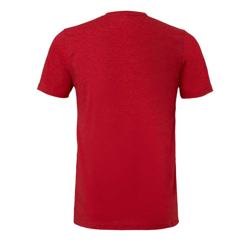 Rear view of the BELLA + CANVAS Triblend Tee -