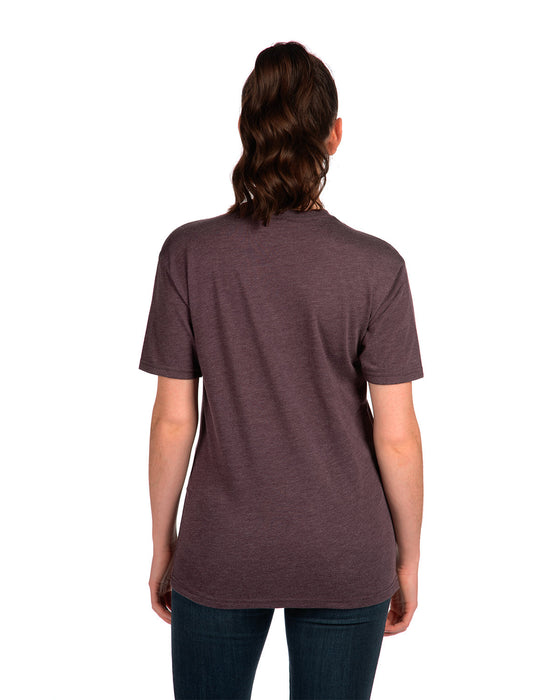 Rear view of the Unisex Triblend T-Shirt