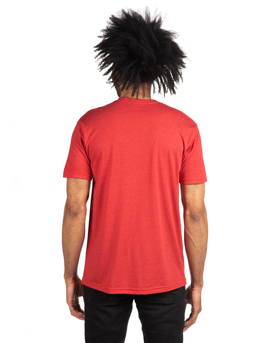 Rear view of the Unisex Triblend T-Shirt