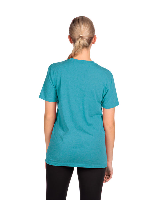 Rear view of the Unisex Triblend T-Shirt