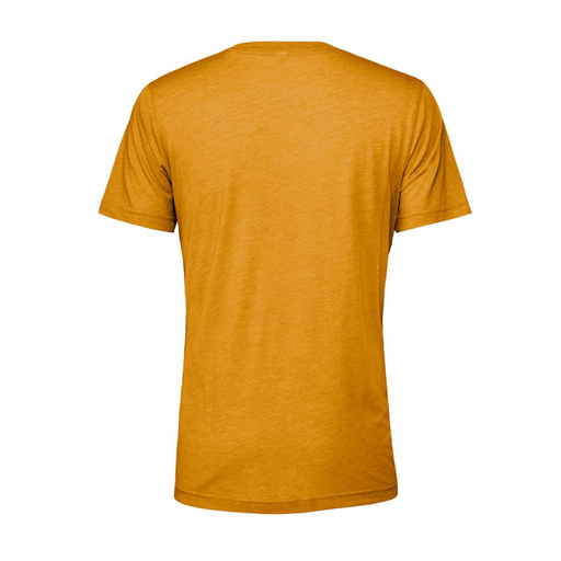 Rear view of the BELLA + CANVAS Triblend Tee -