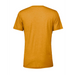 Rear view of the BELLA + CANVAS Triblend Tee -