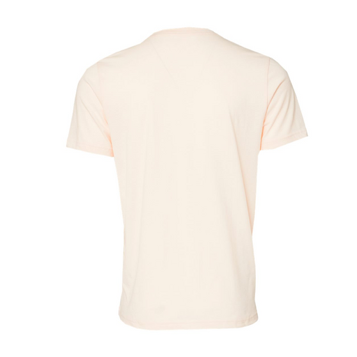 Rear view of the BELLA + CANVAS Triblend Tee -