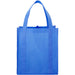 Front and Blank view of the Hercules Non-Woven Grocery Tote