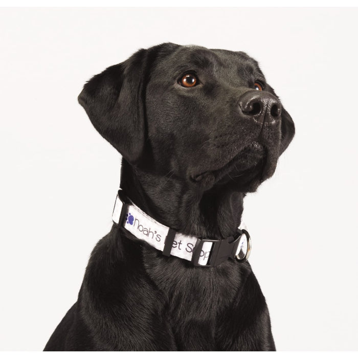 Angle-Right view of the Full Color 1" Wide Adjustable Pet Collar