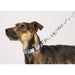 Angle-Right and Part Default Image view of the Full Color 3/4" Wide Premium Pet Leash