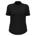 Penguin Solid Ladies Polo