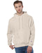 Front and Primary view of the Champion Reverse Weave® Pullover Hooded Sweatshirt