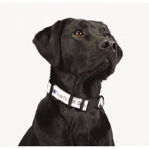 Full Color 1&quot; Wide Adjustable Pet Collar