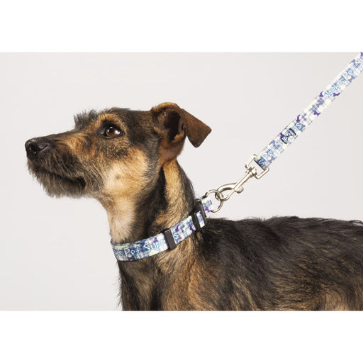 Front and Decorated view of the Full Color 3/4&quot; Wide Premium Pet Leash